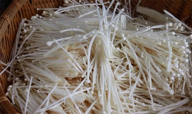 金针菇教你新吃法,味道麻辣脆爽,好吃又下饭,一次4把