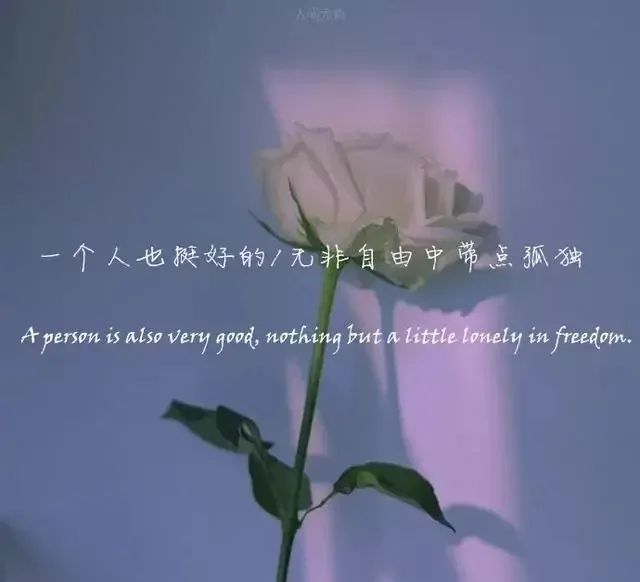 文字背景图|乐观和爱才是生活的解药