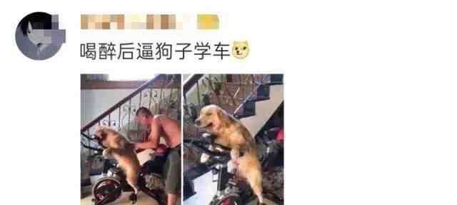 搞笑图集:喝醉酒后的迷惑行为