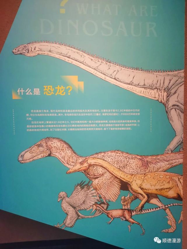 三角龙是最晚出现的恐龙之一,经常被作为晚白垩纪的代表化石.
