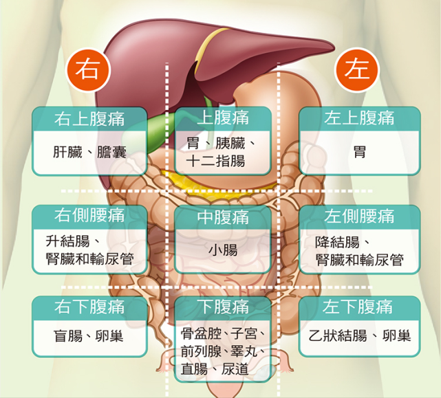 虽然胆囊在右上腹部,但有些人不是真的就痛在右上腹,而是以上腹部