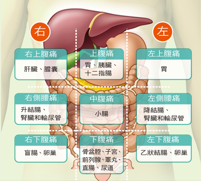 出现上腹痛,到底是哪里有问题?别大意,9区法帮助了解