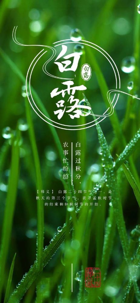 壁纸|二十四节气白露时节高清手机壁纸