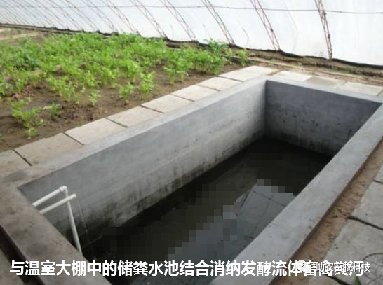 水泡粪工艺的猪场臭味氨气大怎么办粪污处理难怎么办采用微生物处理