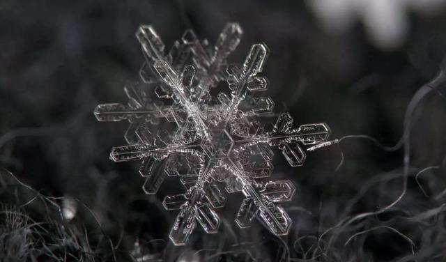 一片雪花的周长居然超过地球?什么是科赫曲线,可怕的数学