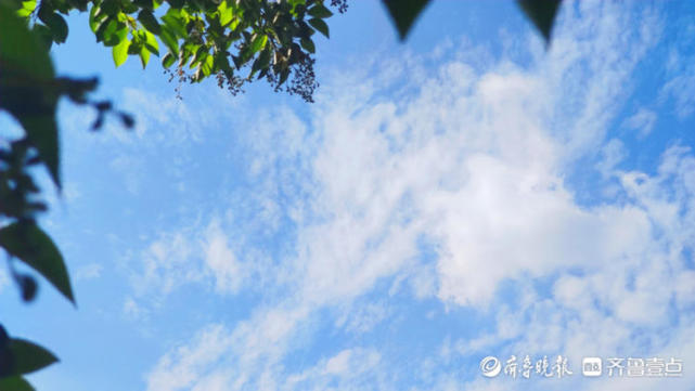 图集|秋季的几场雨后,初现久违的"枣庄蓝"