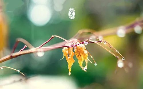 8句白露古诗,杜甫的这句千古传颂,不输"蒹葭苍苍,白露