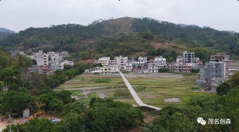 岳龙村信宜市茶山镇榕垌村信宜市茶山镇榕垌村信宜市贵子镇平民村信宜