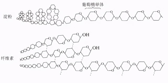 原来我们都弄错了,现在终于有