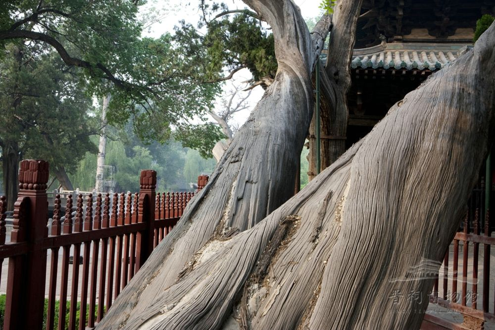 直播预告初秋至晋祠游赏千年艺术殿堂