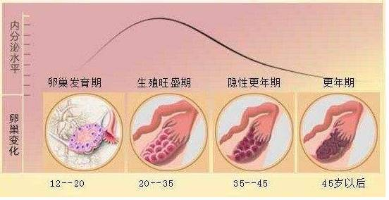 没想到熬夜,节食的副作用,居然还有卵巢早衰