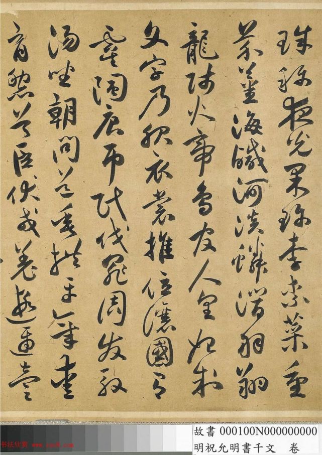 祝允明64岁草书千字文卷