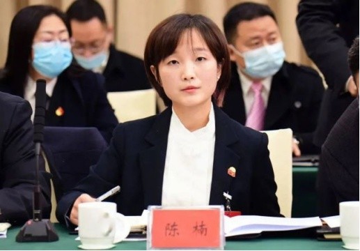 据成都市委组织部于9月6日发布的干部任前公示"90后"女镇长陈楠拟任