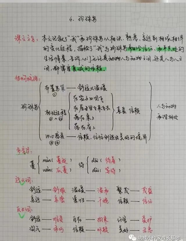 五年级上册语文第4课《珍珠鸟》笔记 小练笔,启发孩子思维