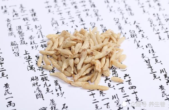 "麦冬"养生好处有很多,了解这些,你才能真正懂得它,值得收藏