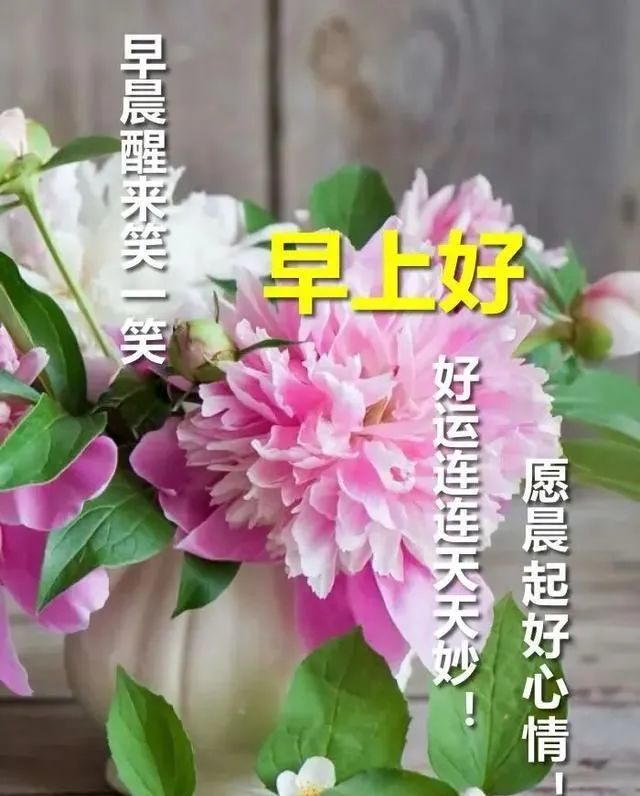 早上好朋友朋友圈很好看的早安祝福问候语最美早上好图片表情带字