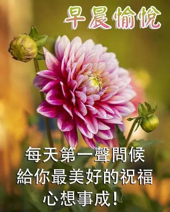 早上好朋友最新早上好祝福温馨语句早晨很美的早安祝福图片精选