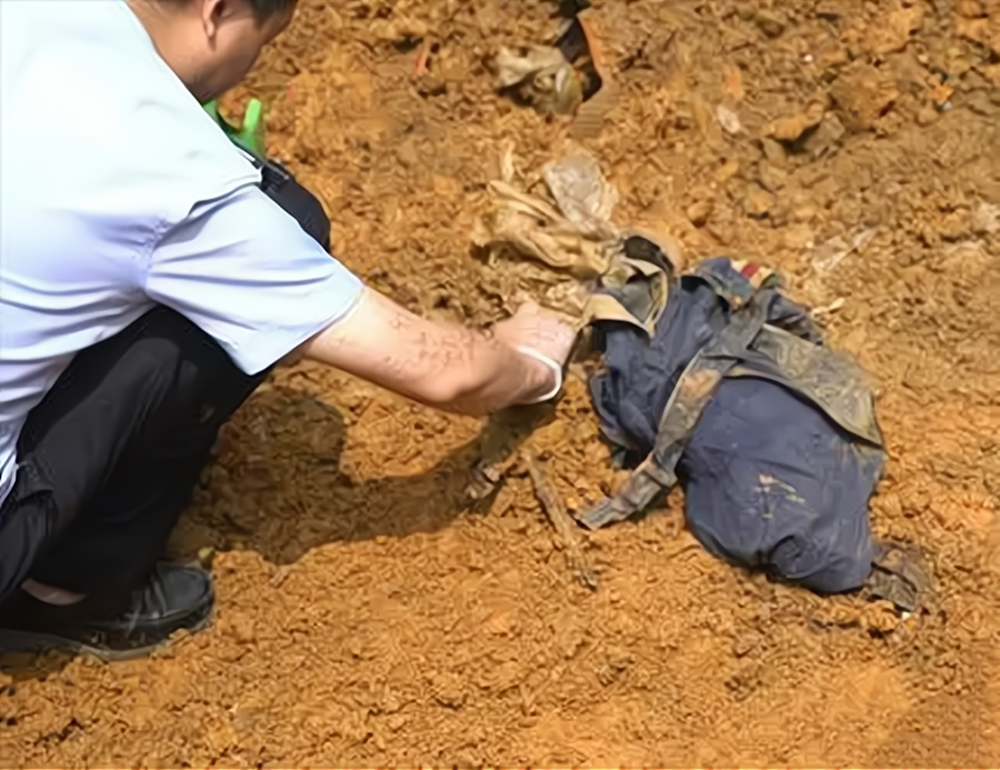 地窖中的秘密:十五年前的白骨重见天日,一家四口为何联手杀人