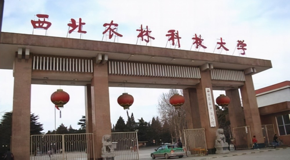 很可能就会被211,双一流取代,在国际影响力方面,农林类高校还是有很