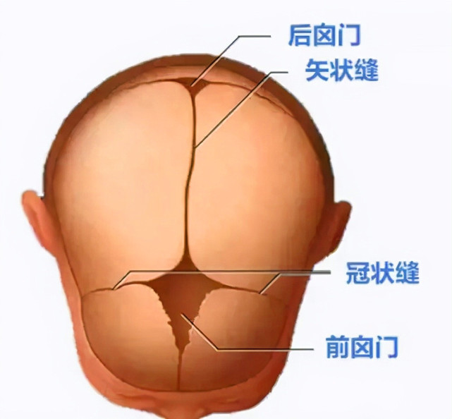 睡姿不当会导致新生儿头骨变形不少新手妈妈还不懂及时纠正