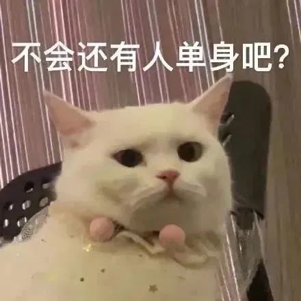 微信沙雕表情包:为什么要发问号?