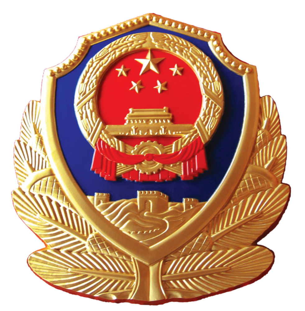 石家庄以王琦为首的涉黑犯罪团伙被端!