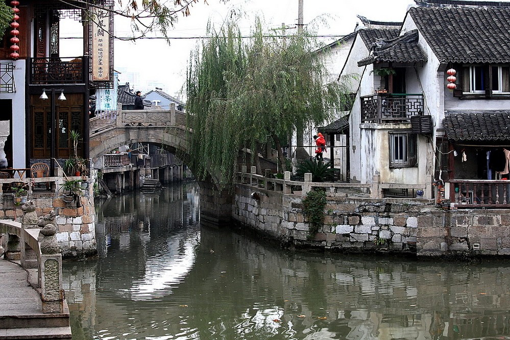 上海水乡古镇,遍植荷花,清雅秀美,是游客最佳旅游地