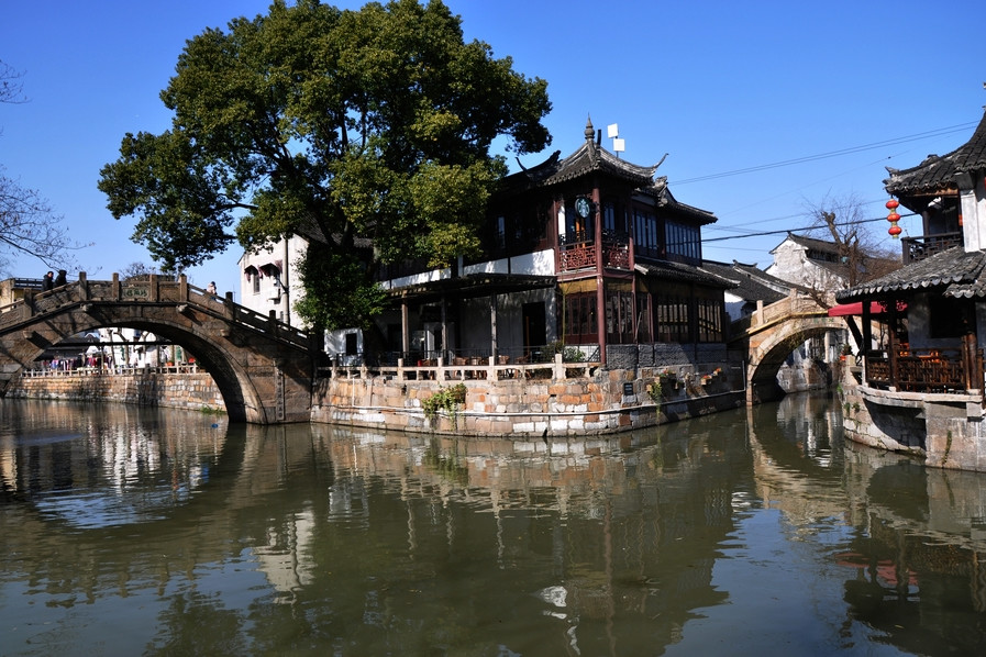 上海水乡古镇,遍植荷花,清雅秀美,是游客最佳旅游地