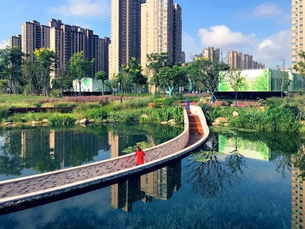 上海这个区建成一批"海绵公园"