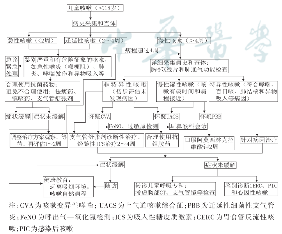 儿童咳嗽诊疗指南发布,19条推荐意见须知丨指南共识