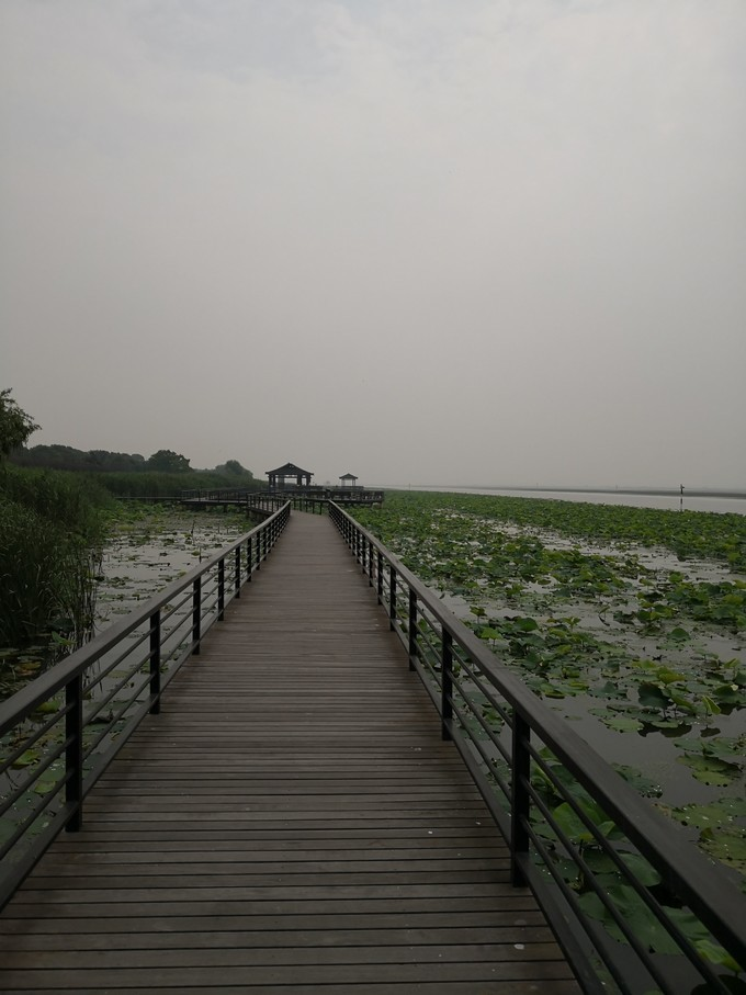 阳澄湖莲花岛位于苏州阳澄湖靠北,因形状像莲花,故名"