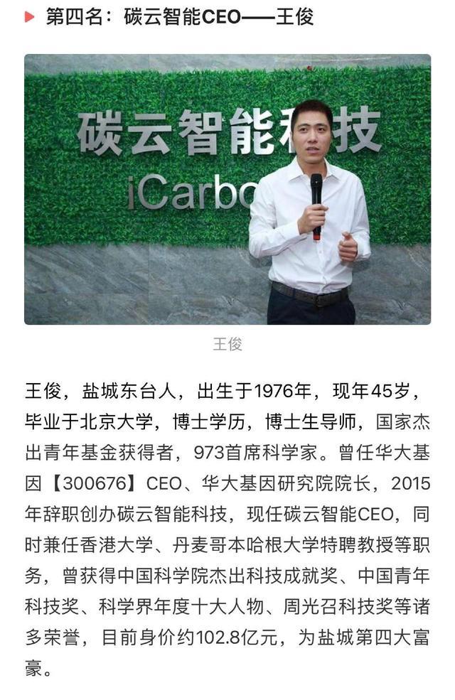 碳云智能科技公司ceo王俊,身价约102亿人民币