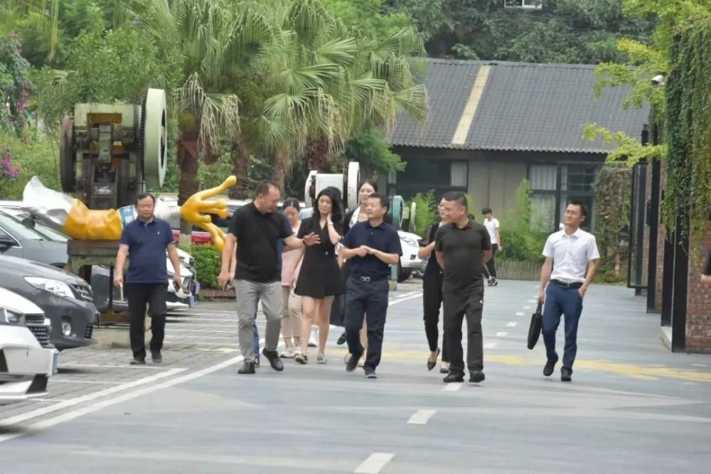 魏柯到桂湖街道专题调研相关工作