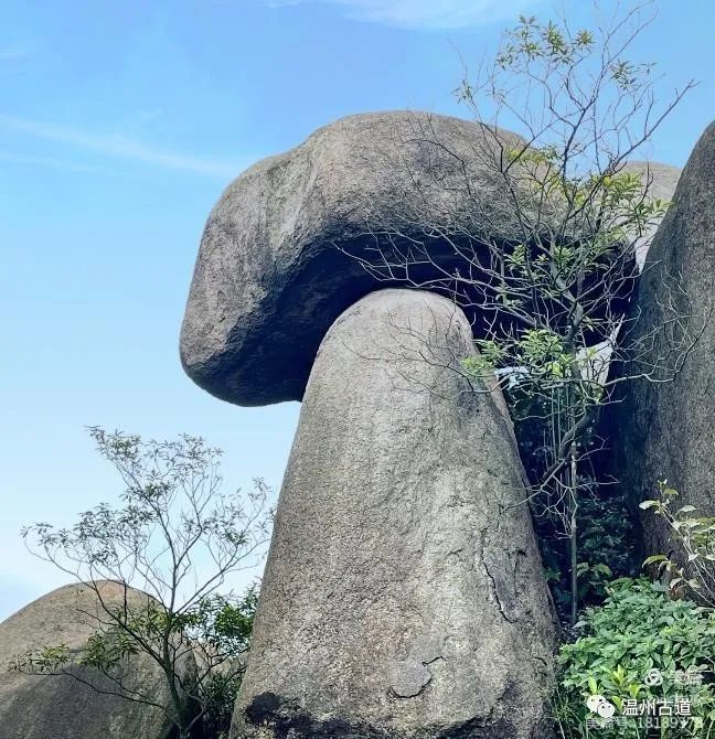 大罗山的核心景区,被誉为奇石博物馆的田螺背你去过吗?