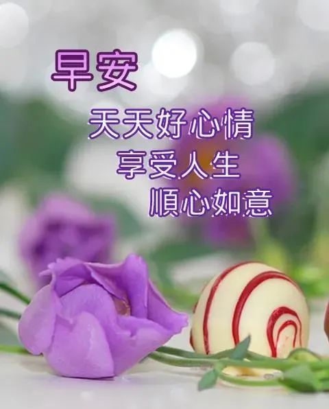 秋天早安问候语表情图片大全 清晨祝福早上好问候语