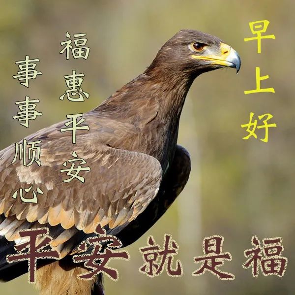 早上问候语图片 朋友早上好祝福语