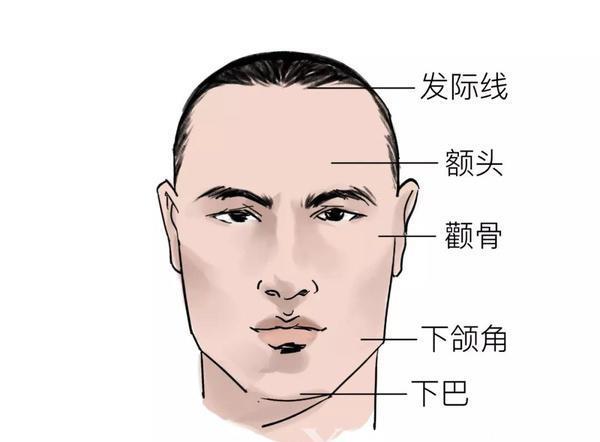 轮廓经由额结节连接眉峰高点,颧骨,下巴,能形成一条流畅的曲线.