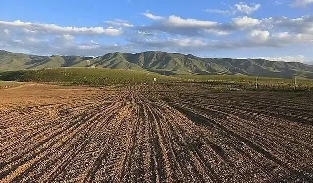 或重新承包给其他人,从而减少土地资源的浪费和缓解土地资源的紧缺