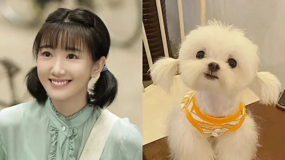 眼睛自带灵气,只服这10位女星,不仅明亮动人,还自带美瞳滤镜