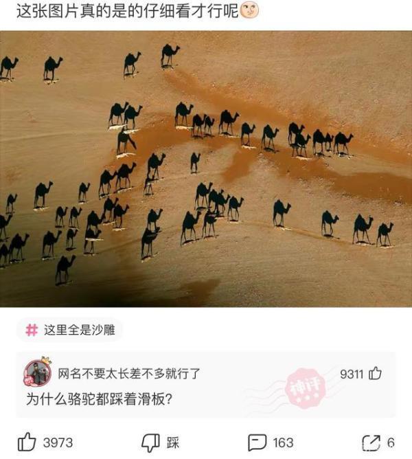 成语荣什么_不接是什么成语(4)