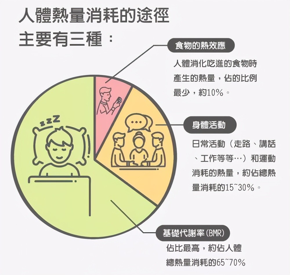 陈桢怡:调整基础代谢,你