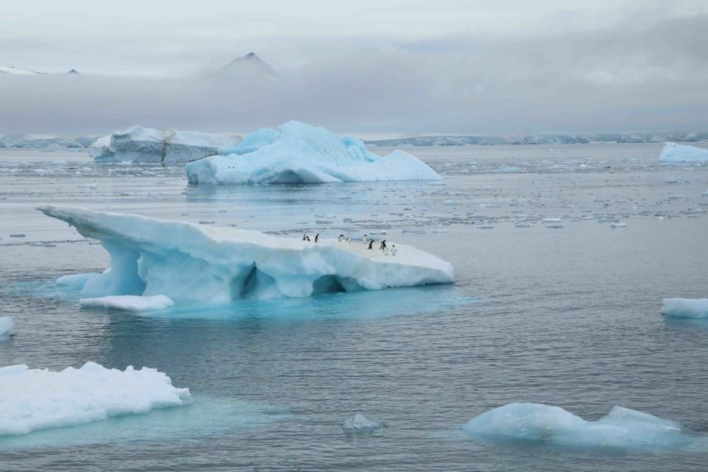 冰川融化,地球最大冰山a68即将挣脱南极,面积有多大?