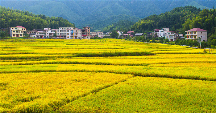 湖南武冈市黄茅村:山水如画 消费旅游助力乡村振兴