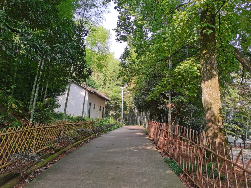 乡村振兴示范村毛竹山村,风景宜人,整体规划布局也不错.