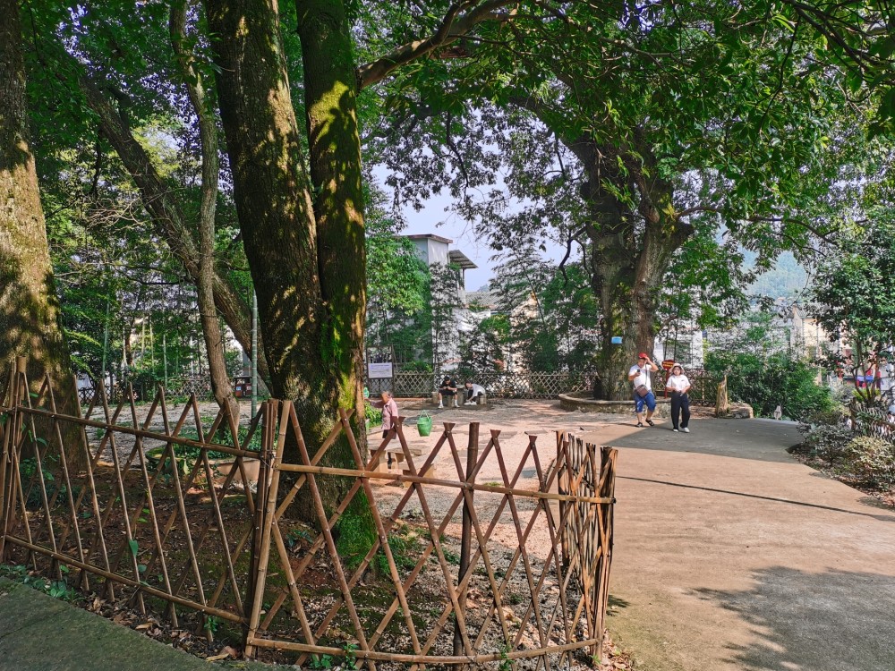 乡村振兴示范村毛竹山村,风景宜人,整体规划布局也不错.