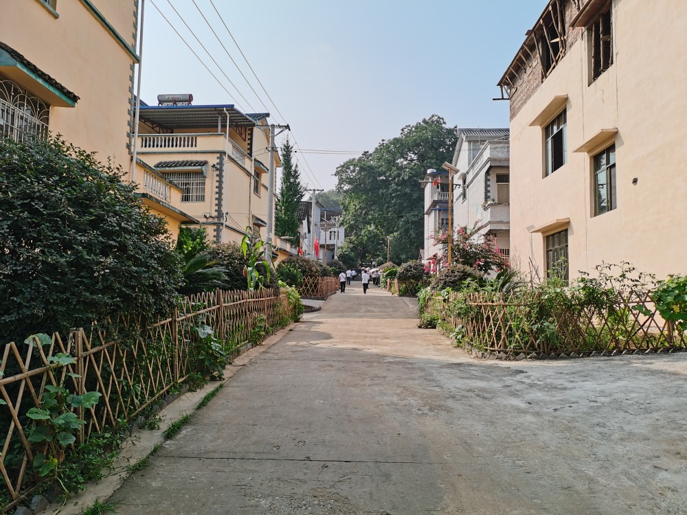 乡村振兴示范村毛竹山村,风景宜人,整体规划布局也不错.