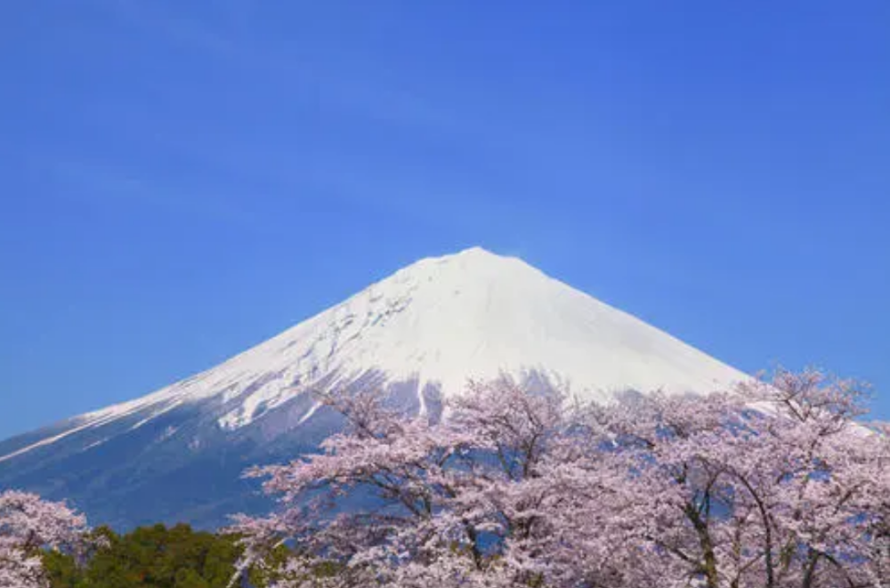 日本富士山被分两半,山顶每年需缴纳巨额租金,其他部分却很便宜