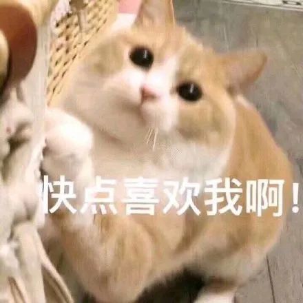 表情包:今天要做的事