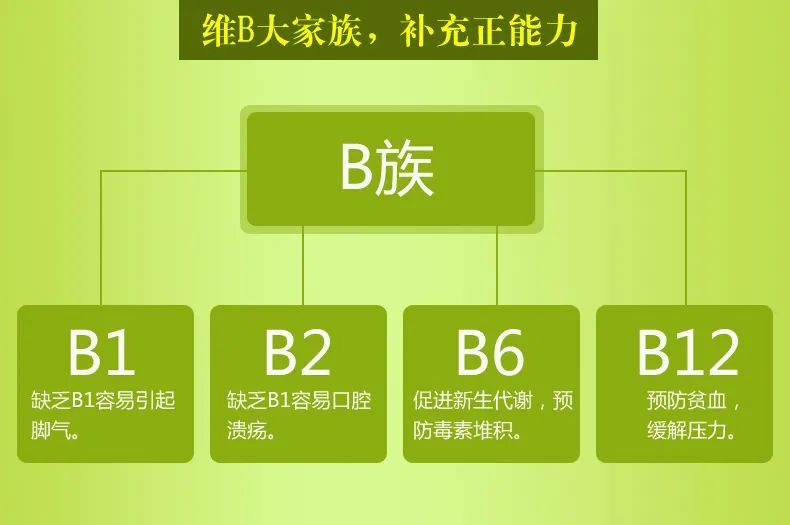 1,b族维生素