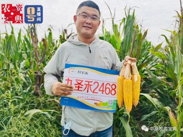 王炸品种:经销商推广放心,零售商卖的舒心,农民收获后开心!